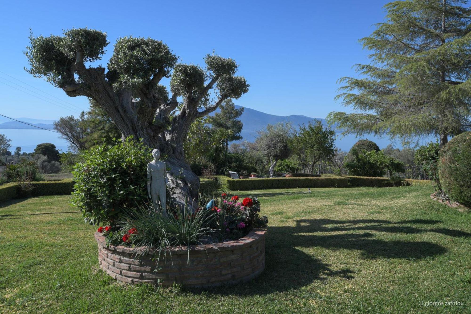 Nerotrivia Villa - Ocean Panorama And Lush Gardens Exterior photo
